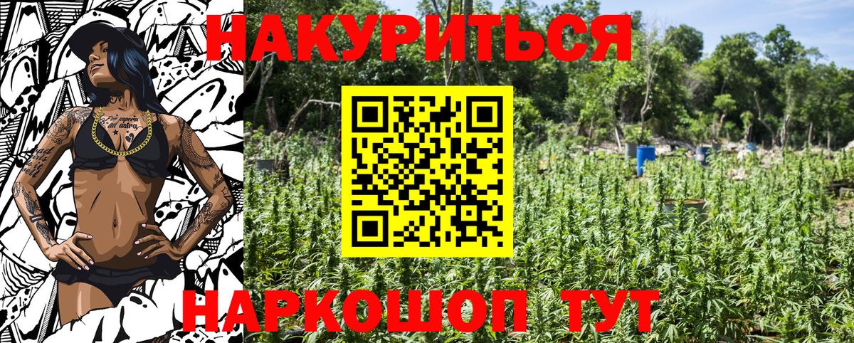 Канабис конопля Великий Устюг
